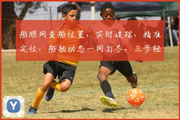 船顺网查船位置，实时追踪，精准定位，船舶动态一网打尽，三步轻松获取