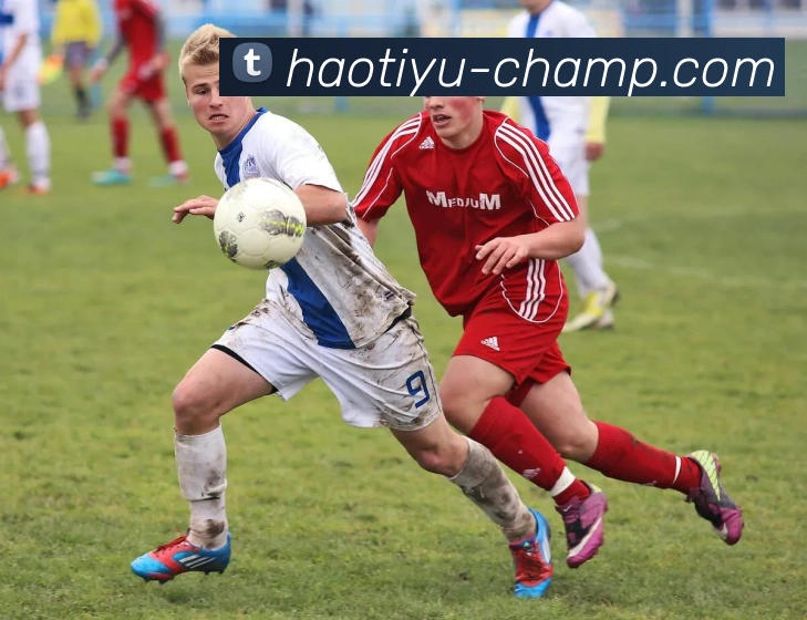 App界面